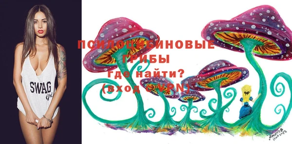 ГАЛЛЮЦИНОГЕННЫЕ ГРИБЫ Аркадак