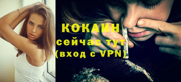 индика Армянск